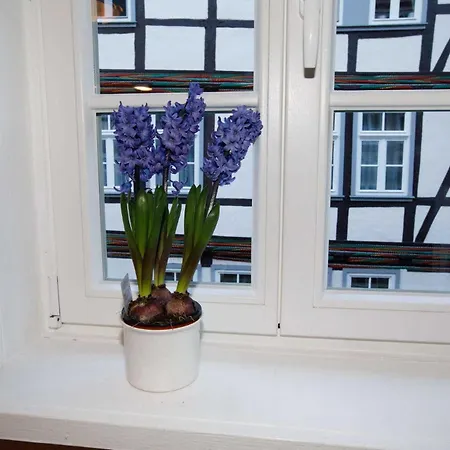 Haus Petersilie Apartamento