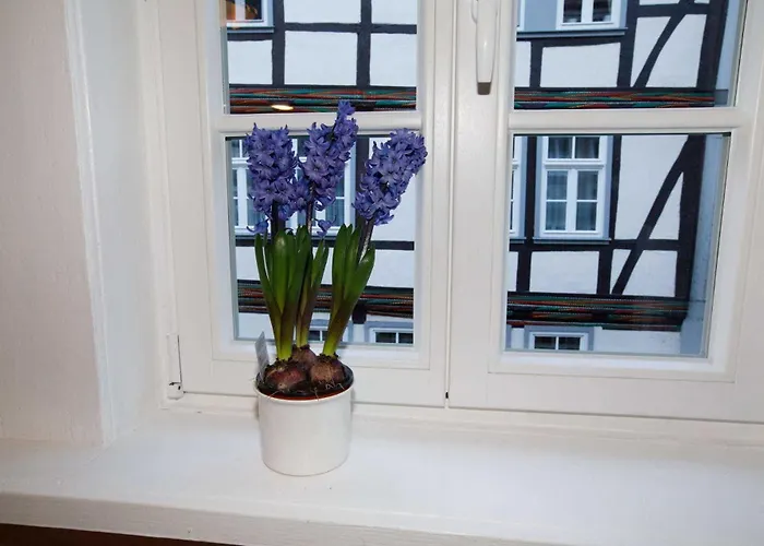 Haus Petersilie Hannoversch Münden